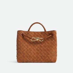 Bottega Veneta Small Andiamo