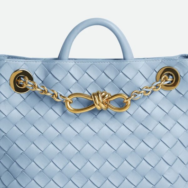 Replica Bottega Veneta small andiamo with chain